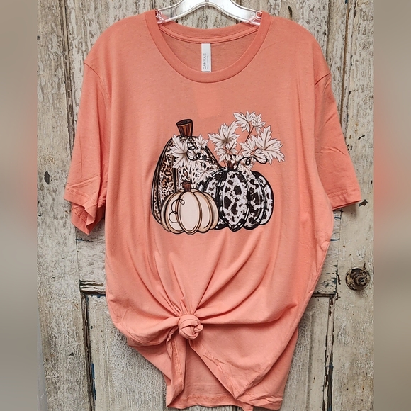New Bella Canvas Pumpkin Trio Tee - Picture 1 of 1